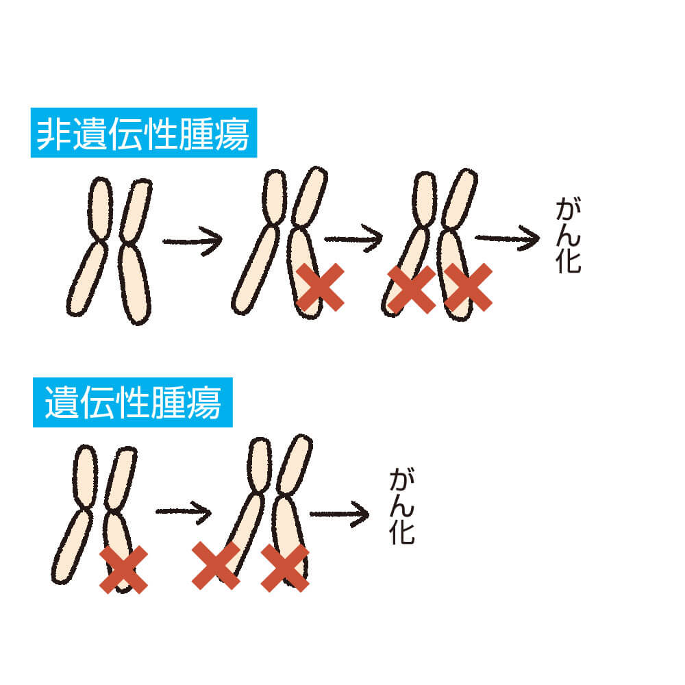 がん家系の方が知っておくべき がんと遺伝の関係 医療法人輝鳳会クリニック Nk療法 Inkt療法によるがん治療